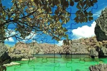 NATUREZA