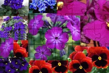 floow jigsaw puzzle