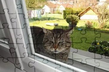 monn gros matou jigsaw puzzle