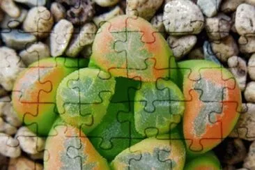 natural jigsaw puzzle