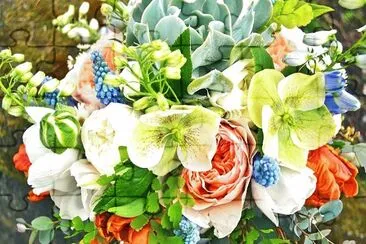 פאזל של flores 2