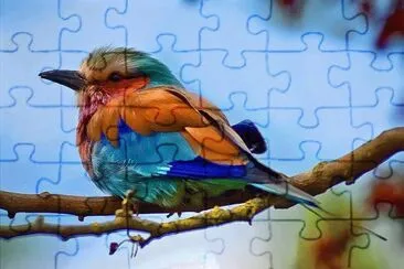 natureza jigsaw puzzle