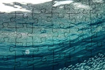 natural jigsaw puzzle