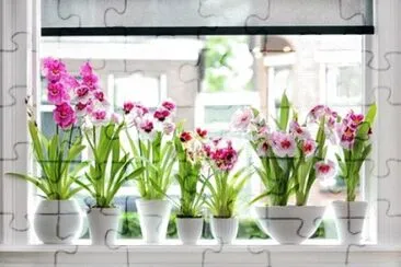 flores jigsaw puzzle