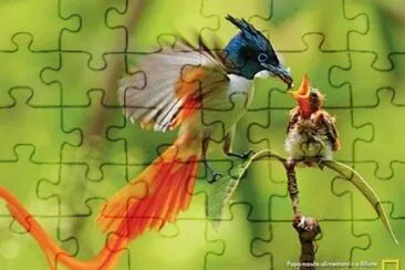 natureza jigsaw puzzle