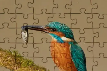natural jigsaw puzzle