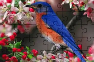toflen jigsaw puzzle