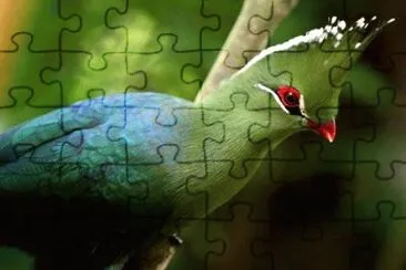 natural jigsaw puzzle