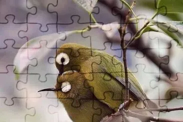 natureza jigsaw puzzle