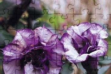 flores jigsaw puzzle