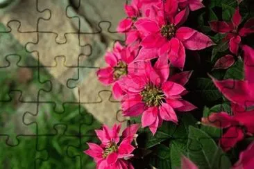 flores jigsaw puzzle