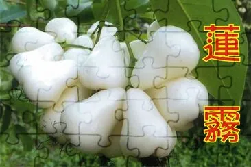 é’é‘½çŸ³è“®éœ§ jigsaw puzzle