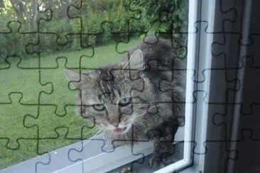 un autre matou jigsaw puzzle