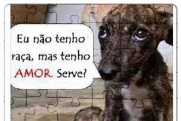 amor jigsaw puzzle
