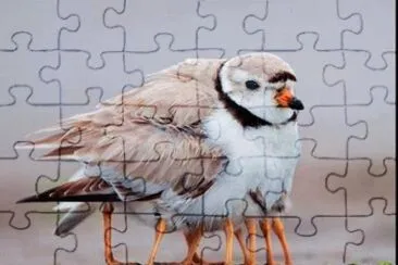 natural jigsaw puzzle