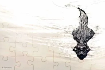 natural jigsaw puzzle