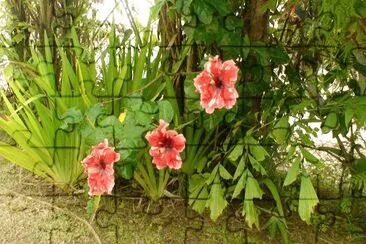flores jigsaw puzzle