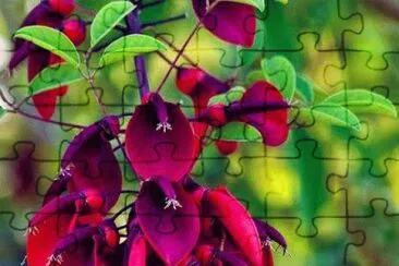 flores jigsaw puzzle