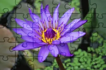 Loutiniote jigsaw puzzle