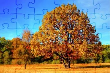 Redtourt jigsaw puzzle