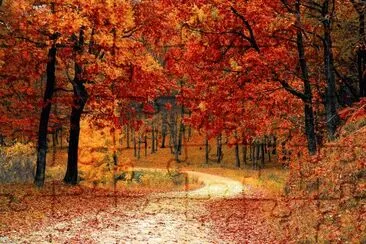 Viavermelhalinear jigsaw puzzle