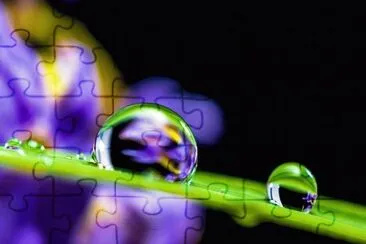 Lagrima jigsaw puzzle
