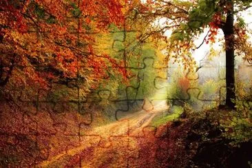 Road Park jigsaw puzzle