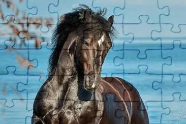 playful horse jigsaw puzzle