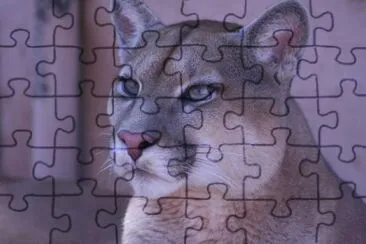natureza jigsaw puzzle