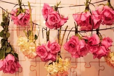 פאזל של flores