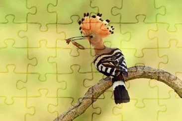 natural jigsaw puzzle