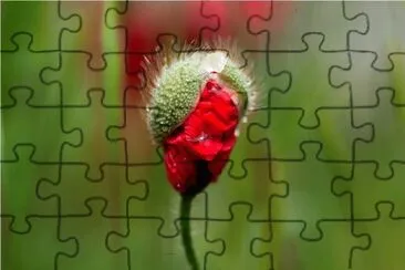 natural jigsaw puzzle