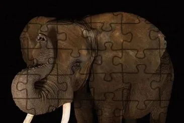 natural jigsaw puzzle