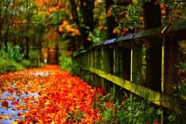 natureza jigsaw puzzle