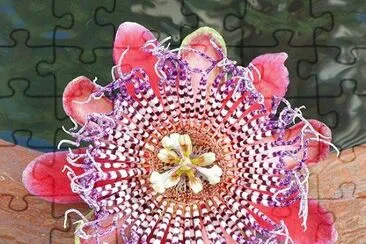 flores jigsaw puzzle