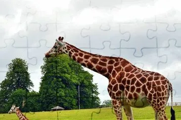 natureza