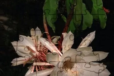 flores jigsaw puzzle