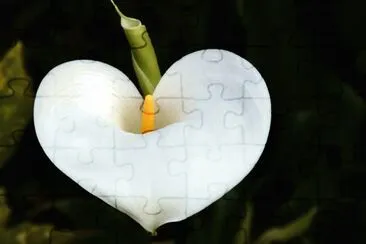 flores jigsaw puzzle