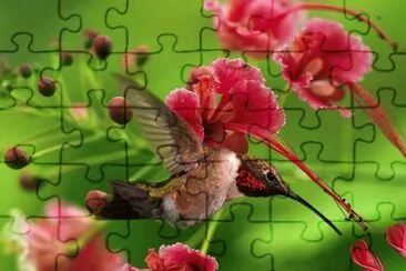 flores jigsaw puzzle