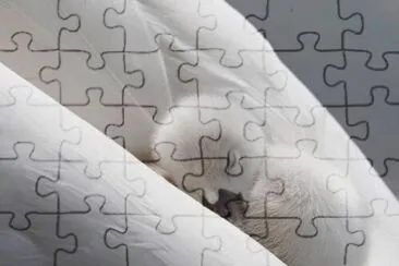 natural jigsaw puzzle