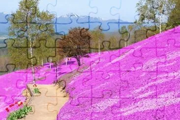 imagem jigsaw puzzle