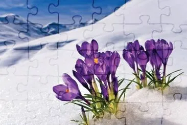 imagem jigsaw puzzle