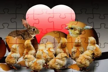 Bunt jigsaw puzzle