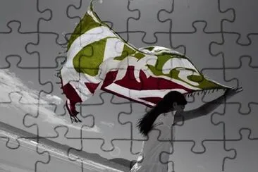 arte jigsaw puzzle