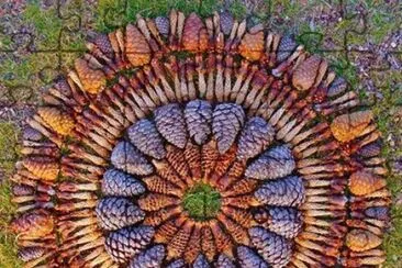 arte