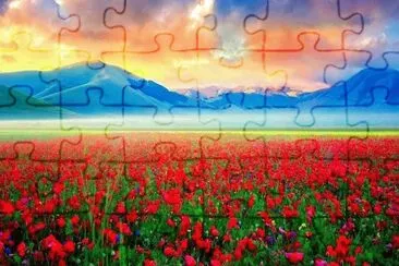 46b jigsaw puzzle