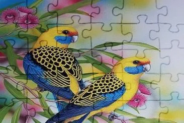 aves jigsaw puzzle