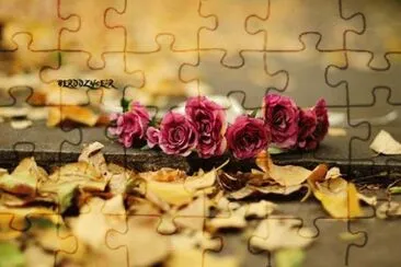 flores jigsaw puzzle