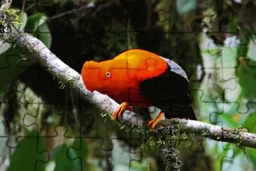 natural jigsaw puzzle