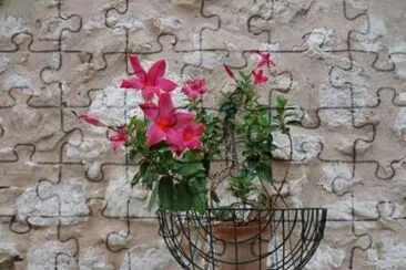 flores